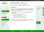 website portfolio