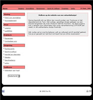 ontwerp betaalbaar portfolio